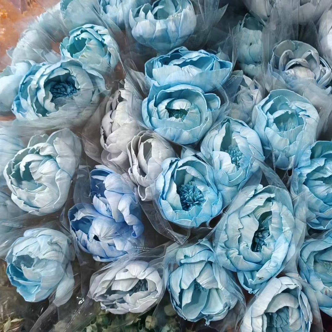 8cm Sola Wood Flower Peony Head Air Freshener Reed Fiffuser Home Flower Arrangement Desktop Decoration Diffuser