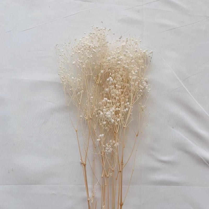 Etsy 2023 most popular preserved babys breath Gypsophila preserved Flower Decorative Flowers for Home Decoration