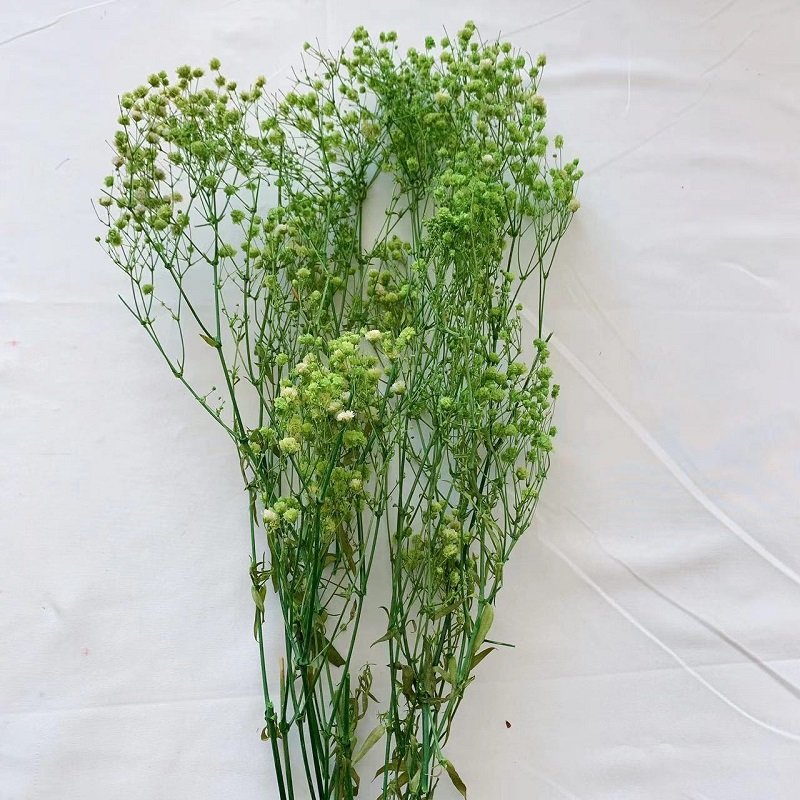 Etsy 2023 most popular preserved babys breath Gypsophila preserved Flower Decorative Flowers for Home Decoration