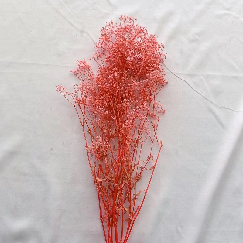 Etsy 2023 most popular preserved babys breath Gypsophila preserved Flower Decorative Flowers for Home Decoration