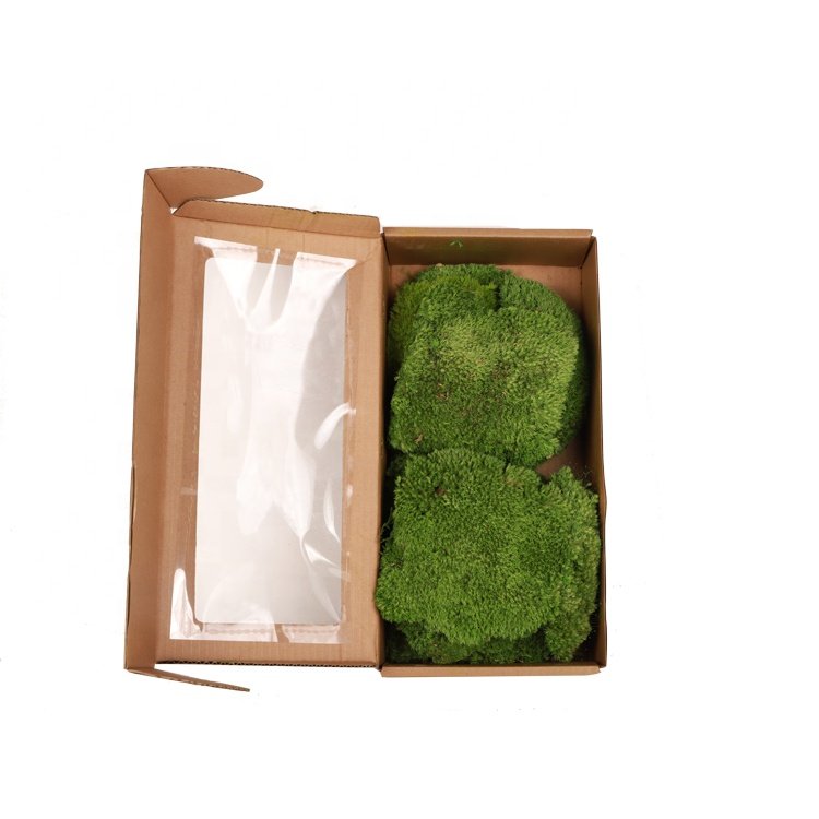 Wholesale moss preserved real preserved moss for decoration real natural preserved moss for sale