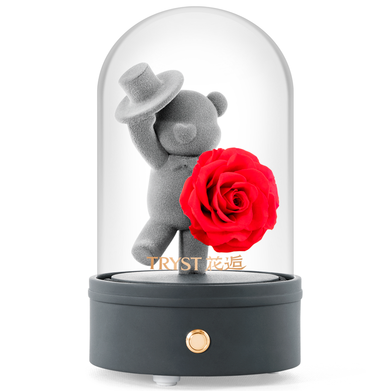 Real Natural Long Life Lasting Immortal Forever Eternal Preserved Roses Flower In Gift Box