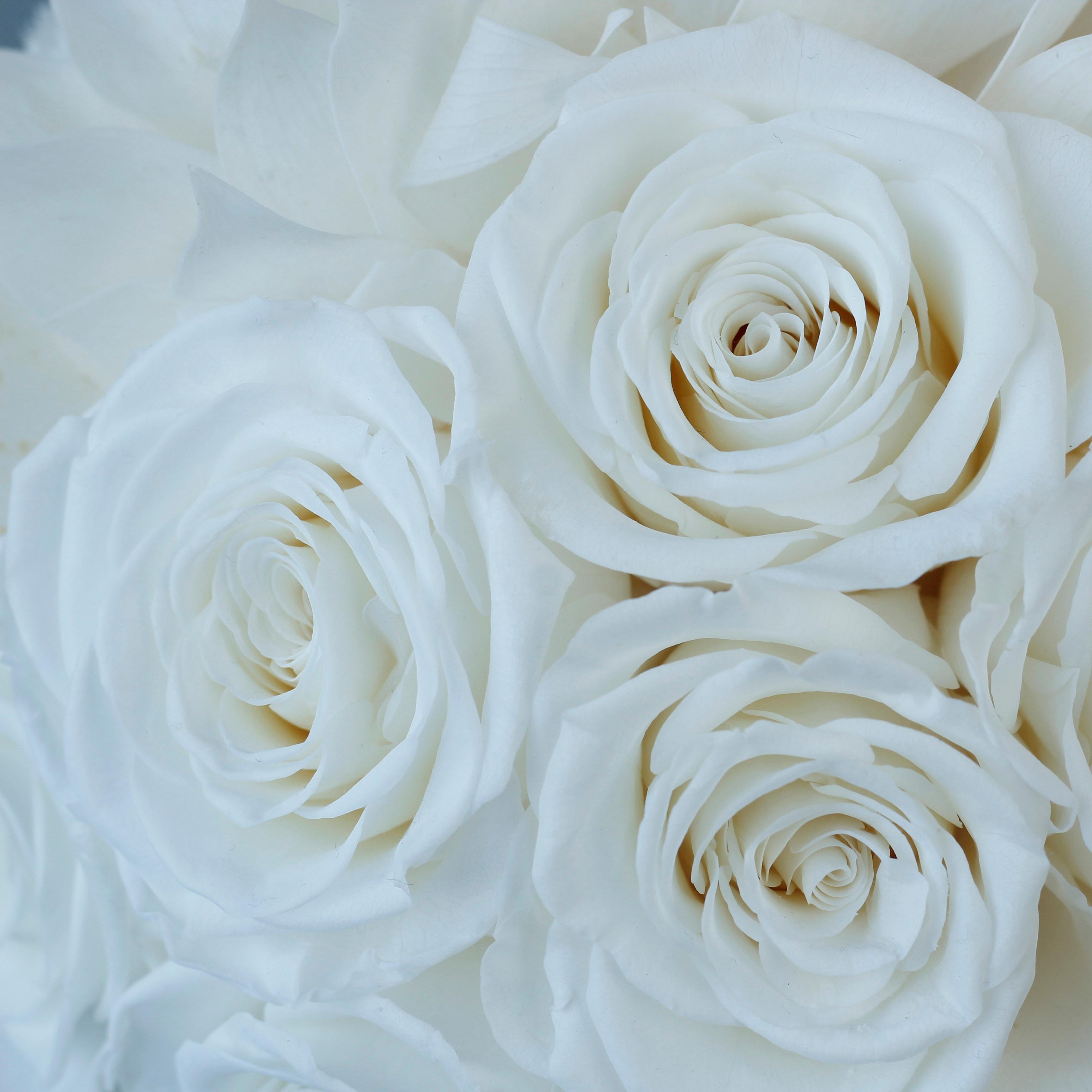Lovebay Best Quality Table Preserved Flowers Real Eternal Flowers Everlasting Roses Forever Real Preserved Natural Rose Vases