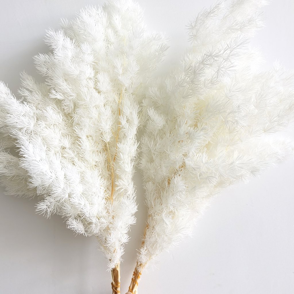 Wedding Decoration Yunnan Wholesale Preserved Green Asparagus White Preserved Ming Fern