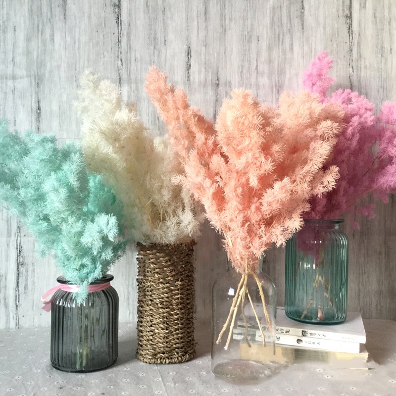 Wedding Decoration Yunnan Wholesale Preserved Green Asparagus White Preserved Ming Fern