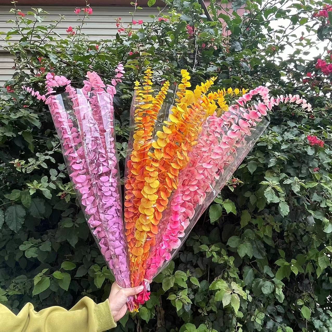 New product ideas 2023 top Sale Wholesale Preserved Flowers Preserved eucalyptus leaves for Bouquet Event Decoration