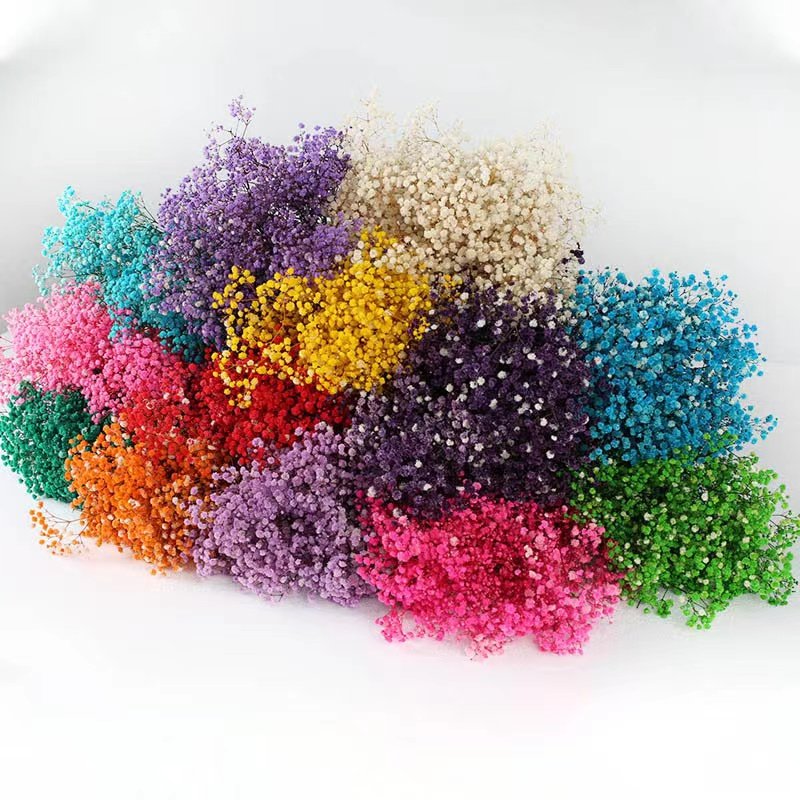 Yunnan Factory Direct Sales most popular preserved babysbreath flowers artificial gypsophila for wedding home decoration