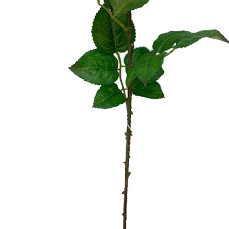 Hot Selling 68cm 3 Group Artificial Peony Rose Injection Moulded Single Branch Wedding Decoration Home Decor Preserved Flowers