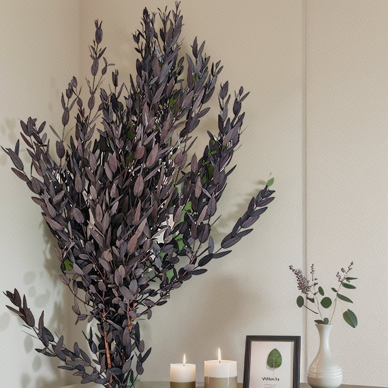 Yunnan Immortal Preserved Forever Spire Eucalyptus Leaves Real Touch for Scene Decoration Factory Wholesale for Earth Day