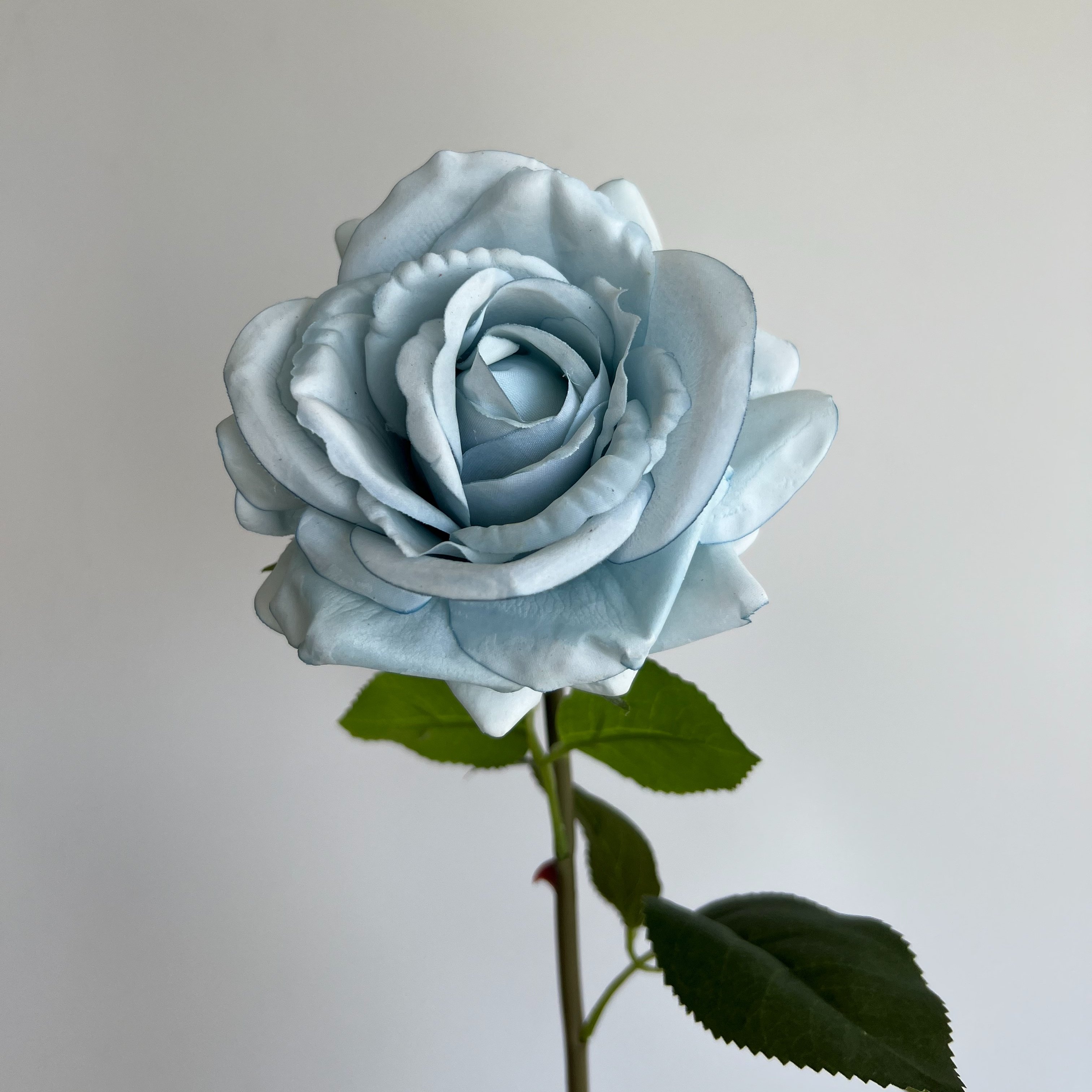 O-X306 Wholesale Price Real Touch Artificial Flower Rose Home wedding Decor Artificial Flowers Real Touch Single Stem Rose