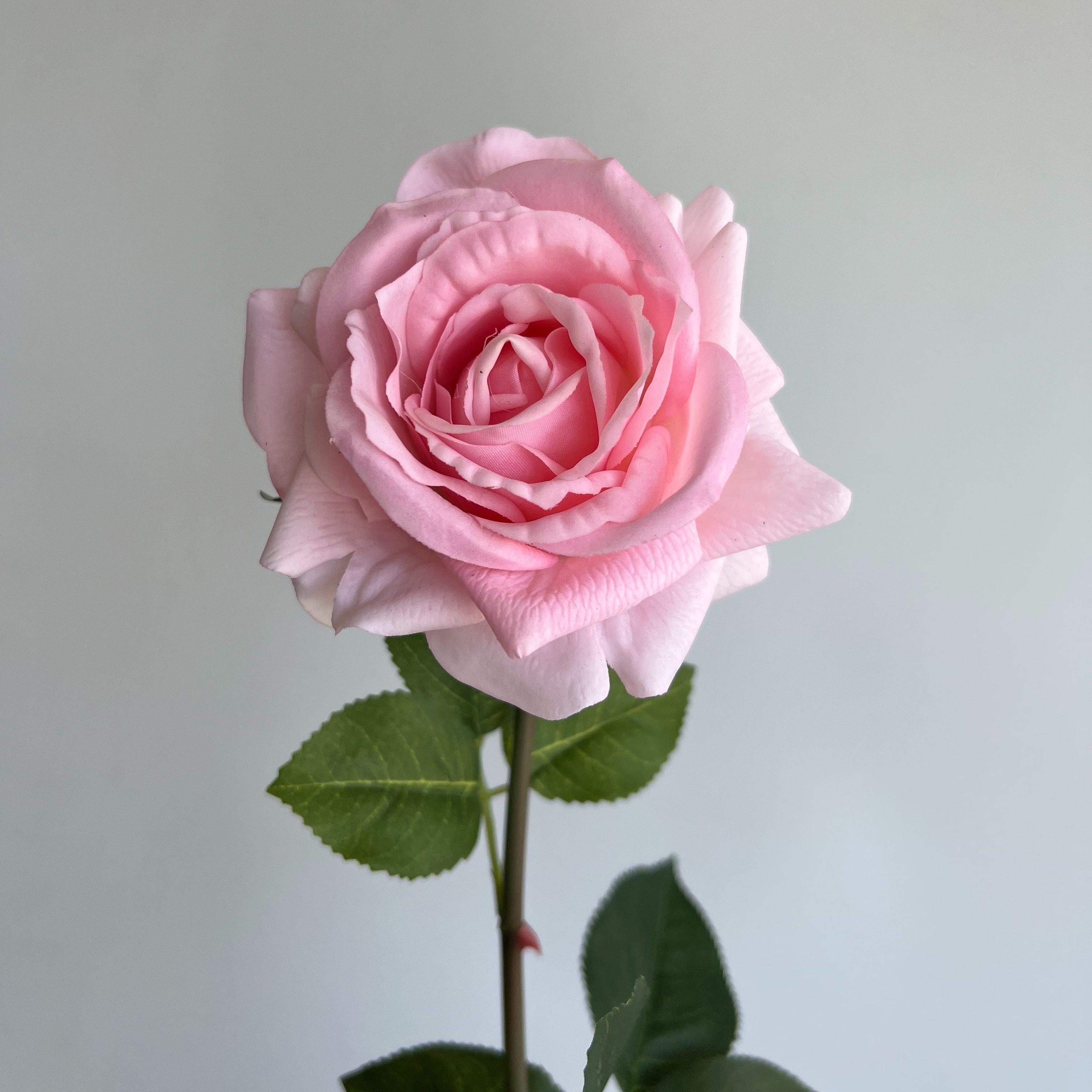 O-X306 Wholesale Price Real Touch Artificial Flower Rose Home wedding Decor Artificial Flowers Real Touch Single Stem Rose