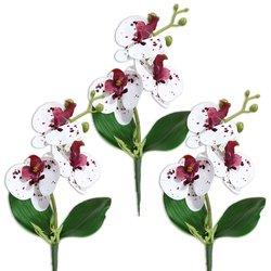 YX230333-4P-Mixed