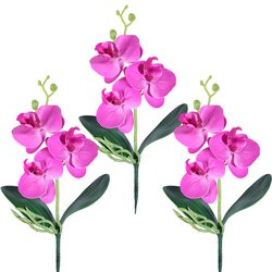YX230333-4P-Rose