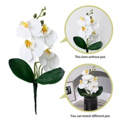 YX230329-3P-White