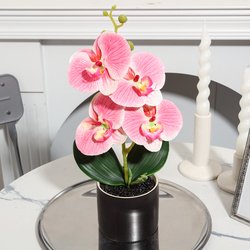 YX230329-3P-LPink