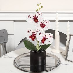YX230329-3P-Mixed