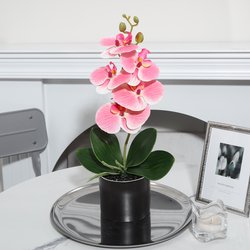 YX230316-5P-pink