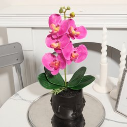 YX230316-5P-purple
