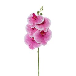 YX230328-5PDZ-Pink