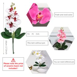 YX230316-5P-Mixed