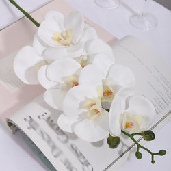 LM0307-white