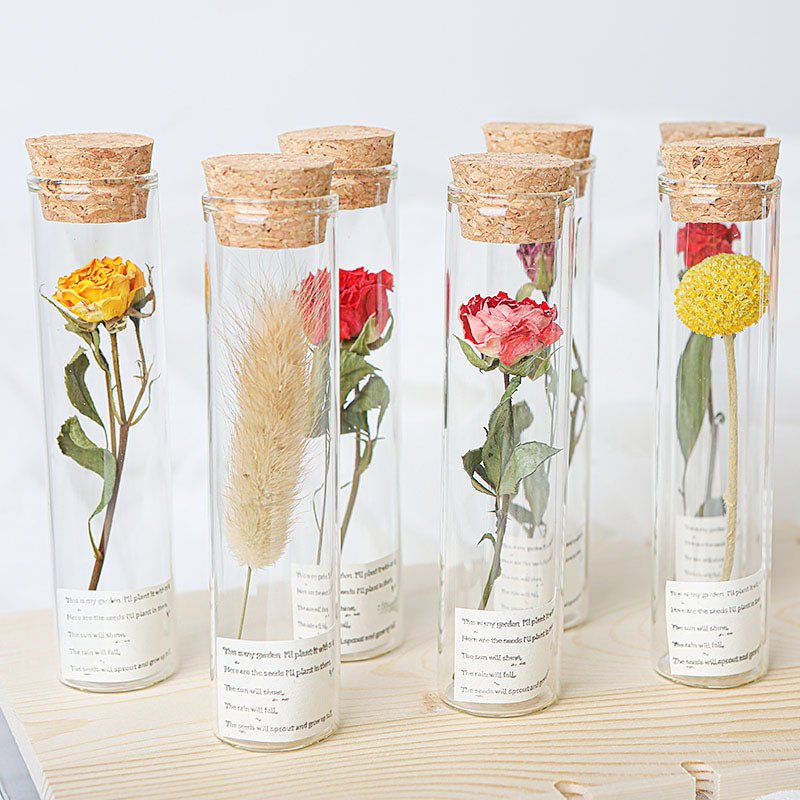 2023 Newest Natural Dried Flowers in Glass Tube for Girlfriend, Mom, Home Office Desk Table Decor, Anniversary Birthday