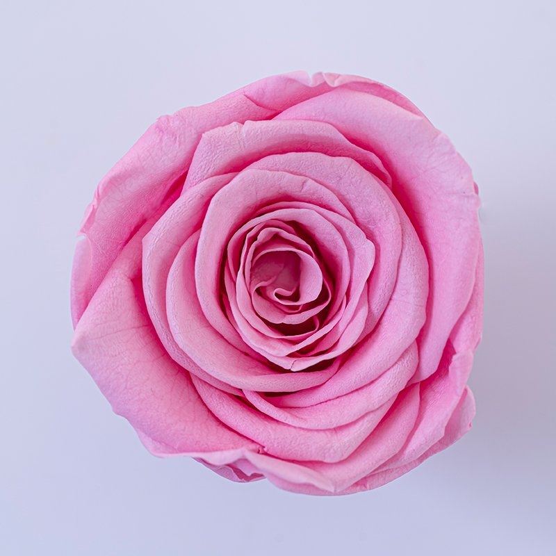 Everlasting Rose Head 4-5cm 8-piece B-grade Preserved Flower Rose Heads Interior Decoration