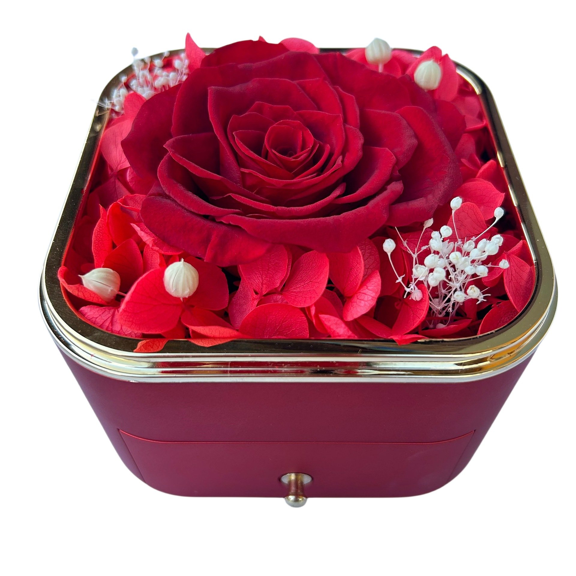 Hot Sell 2024 Everlasting Flower Gifts Immortal Eternal Forever Stabilized Rose Preserved Flower in Jewelry Box