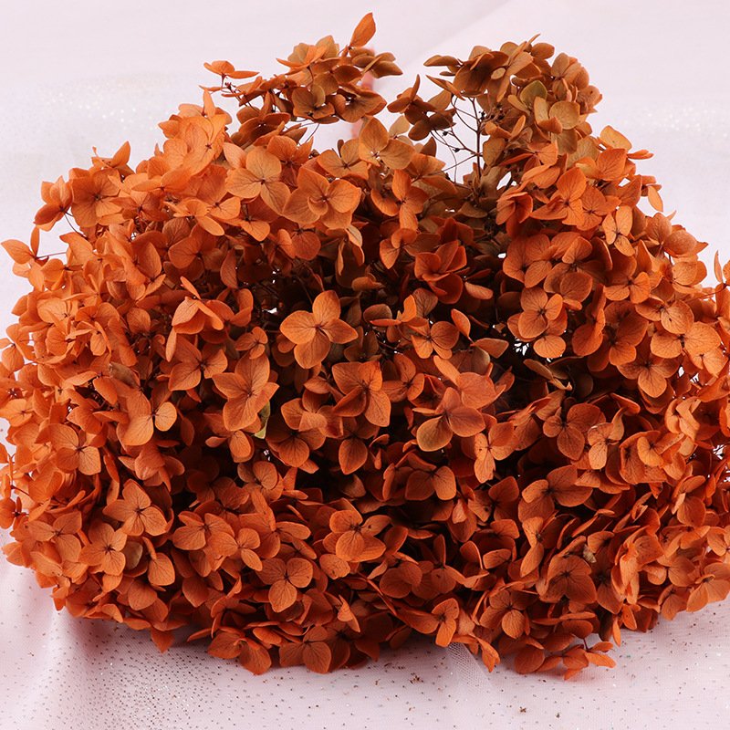 2024 Amazon the hot seller dried flower preserved large anna hydrangeas for wedding/party/home decoration and bouquet