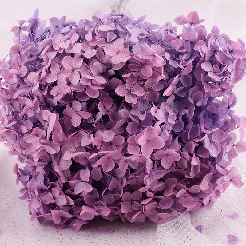 2024 Amazon the hot seller dried flower preserved large anna hydrangeas for wedding/party/home decoration and bouquet