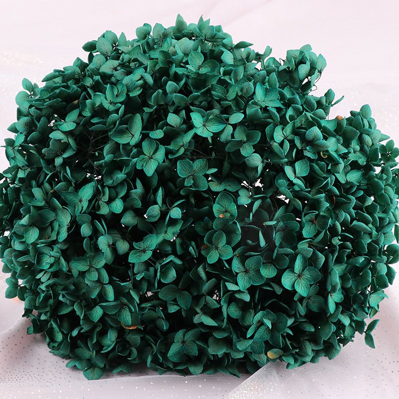 2024 Amazon the hot seller dried flower preserved large anna hydrangeas for wedding/party/home decoration and bouquet