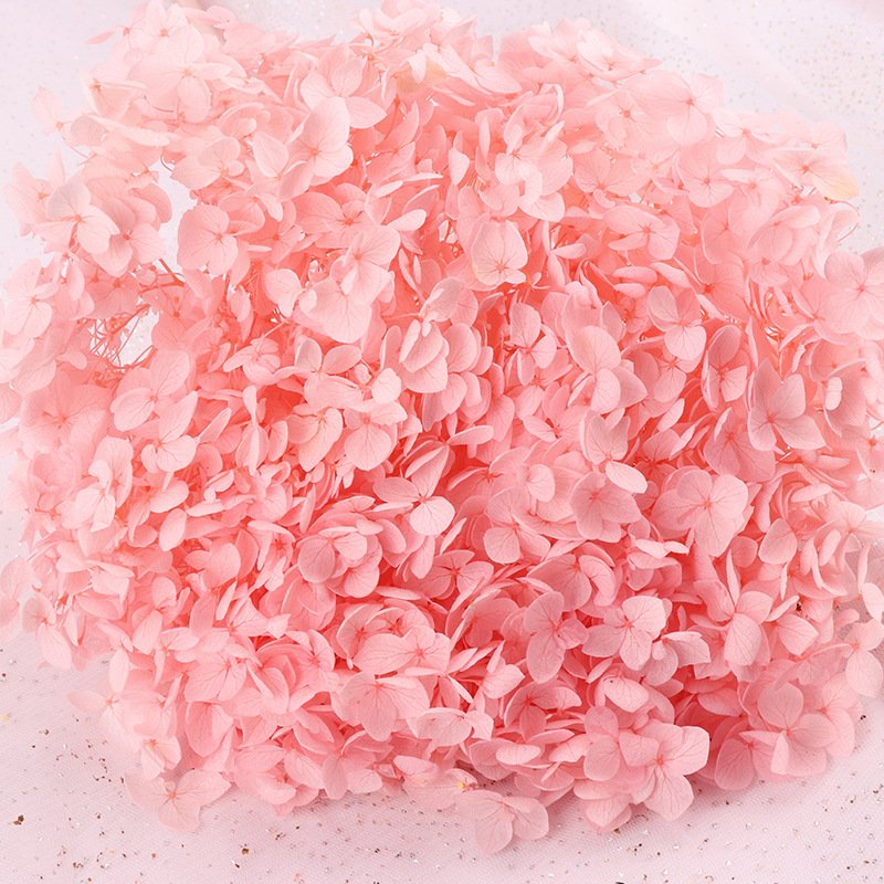 2024 Amazon the hot seller dried flower preserved large anna hydrangeas for wedding/party/home decoration and bouquet