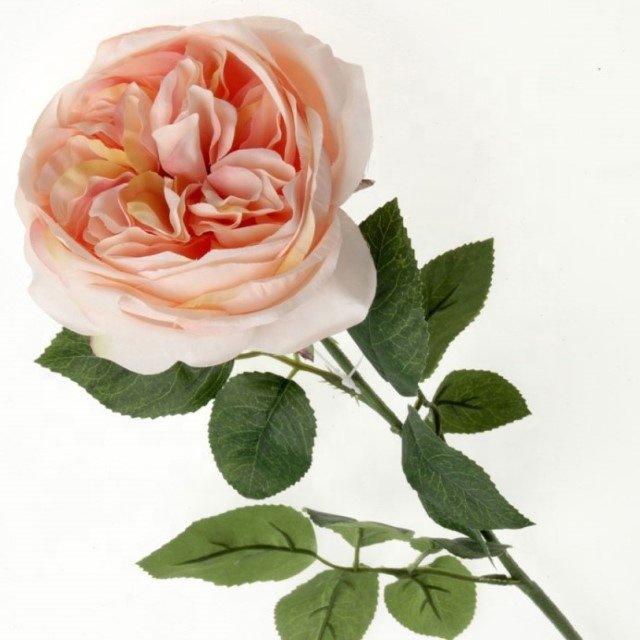 Artificial silk Cabbage Roses Silk Tea Rose Artificial Peony Flower Head for home Wedding Centerpieces Arrangement party flower
