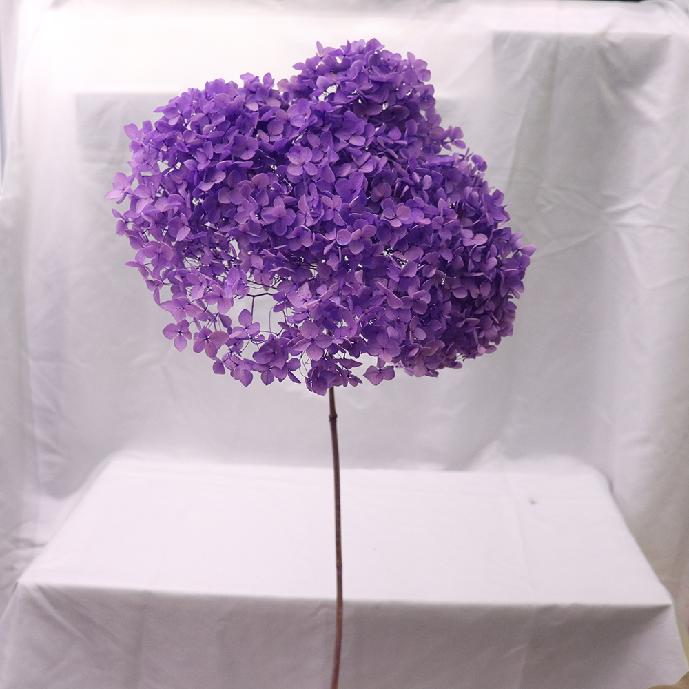 Factory Multicolor Preserved Hydrangea Anna Leaflet Hydrangea Eternal Preserved Flower