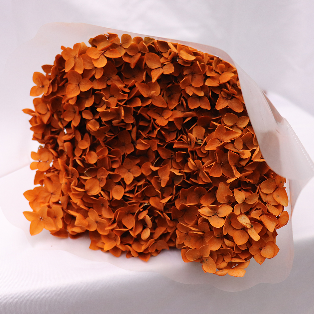 Factory Multicolor Preserved Hydrangea Anna Leaflet Hydrangea Eternal Preserved Flower
