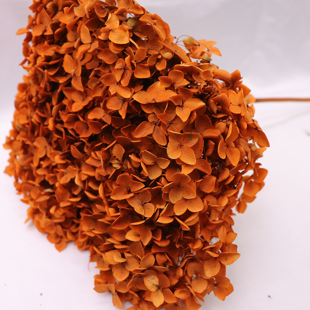 Factory Multicolor Preserved Hydrangea Anna Leaflet Hydrangea Eternal Preserved Flower