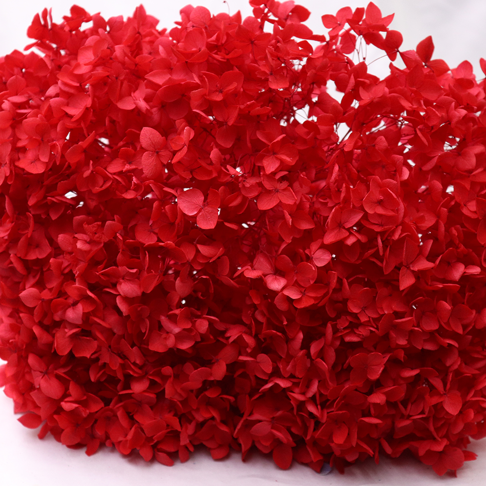 Factory Multicolor Preserved Hydrangea Anna Leaflet Hydrangea Eternal Preserved Flower