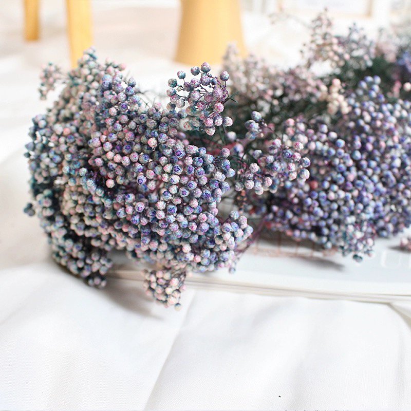 Facoty Wholesale Multicolor Millet Flower Preserved Rice Flower Ozothamnus Diosmifolius Decorative Flowers For Home Decoration