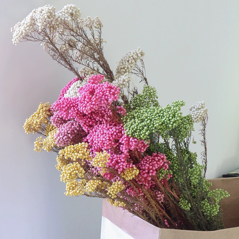 Facoty Wholesale Multicolor Millet Flower Preserved Rice Flower Ozothamnus Diosmifolius Decorative Flowers For Home Decoration