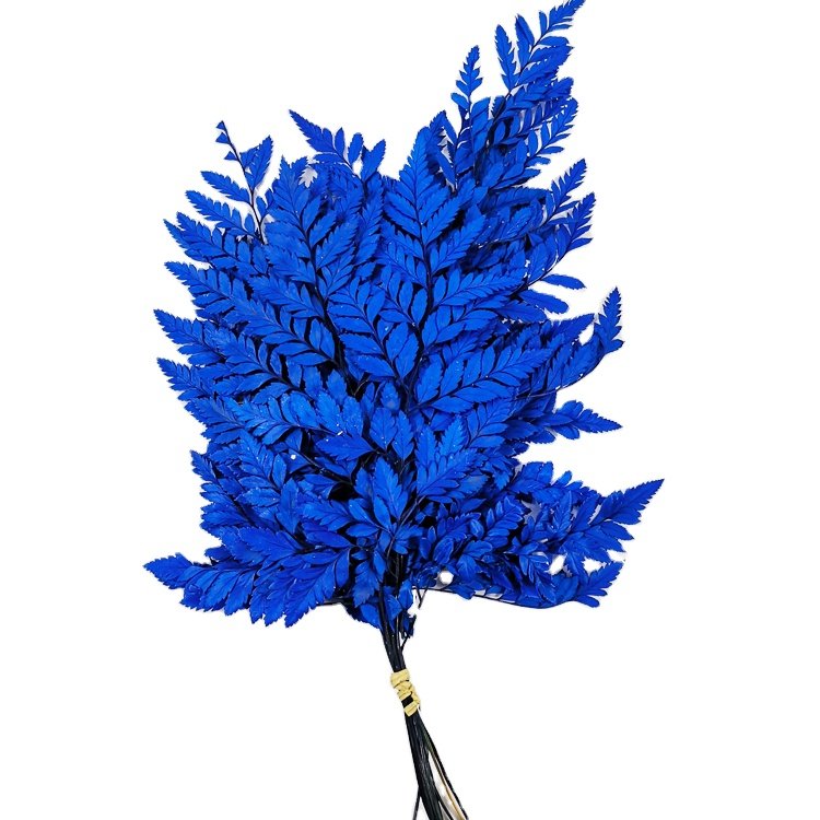 SumFlora most popular stabilized flowers China Suppliers Wholesale Colorful Unfading preserved flower arachniodes