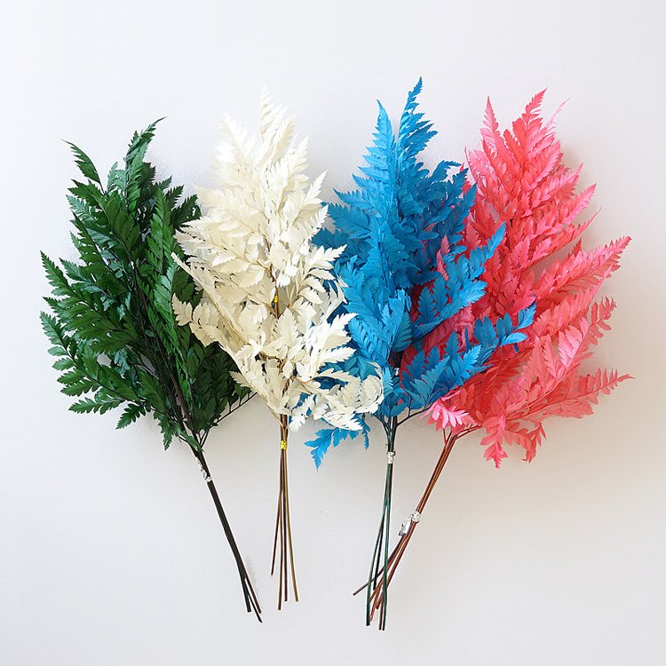 SumFlora most popular stabilized flowers China Suppliers Wholesale Colorful Unfading preserved flower arachniodes