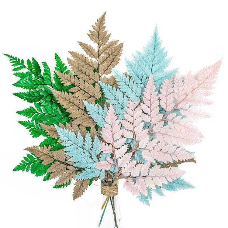SumFlora most popular stabilized flowers China Suppliers Wholesale Colorful Unfading preserved flower arachniodes