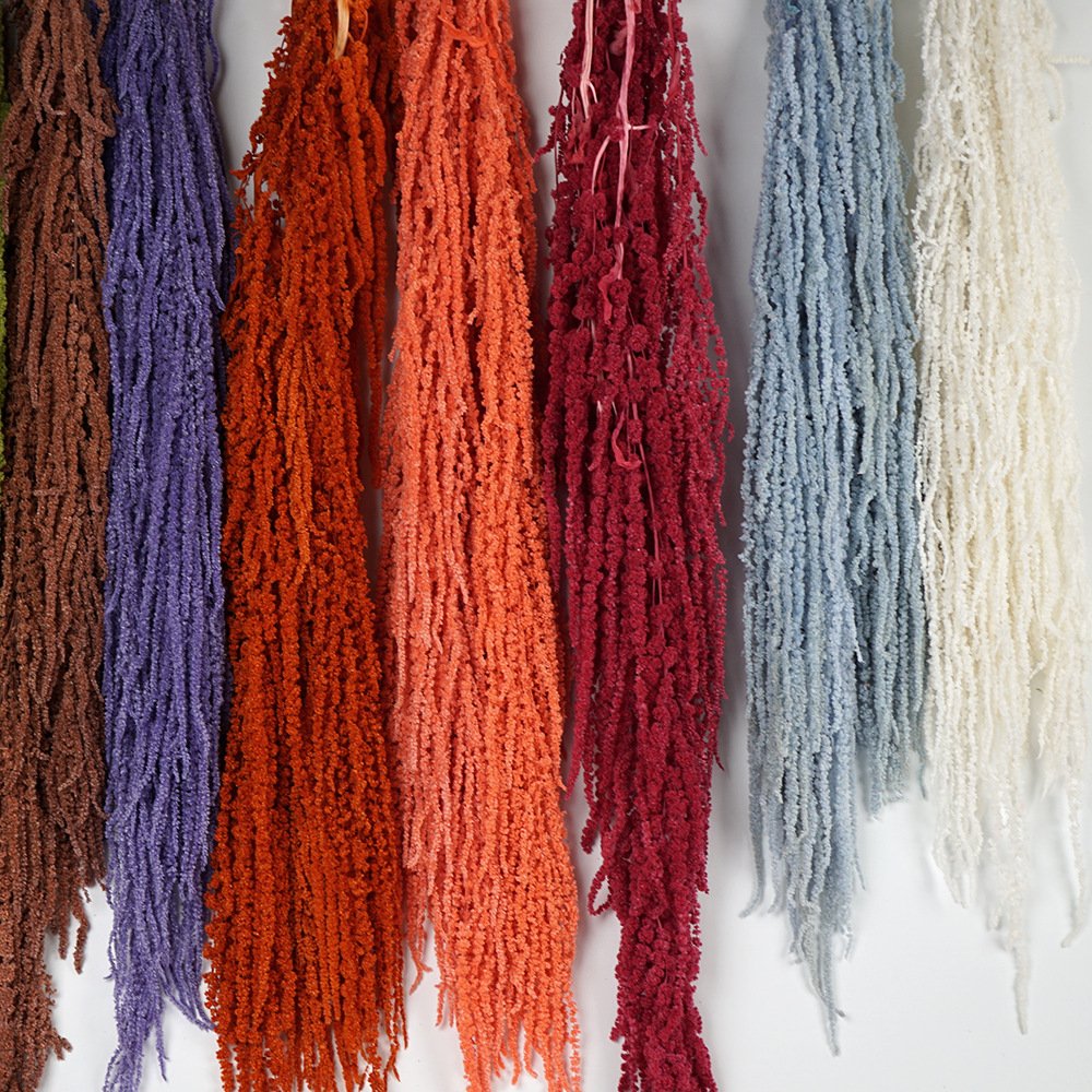 High Quality Natural Preserved Amaranth Dried Flowers Hanging Amaranthus for Home & Wedding Decoration