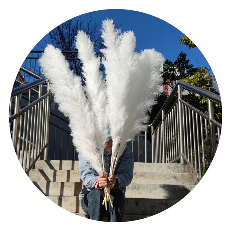 Yunnan Wholesale 120 cm Fluffy Pampas Grass Large Big Pampas Grass For Floral Arrangement