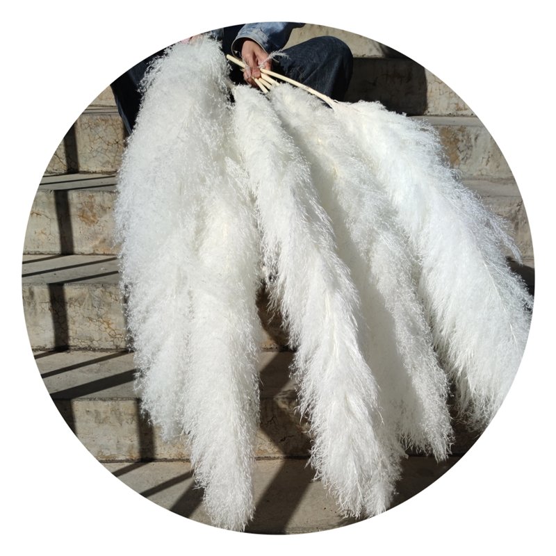 Yunnan Wholesale 120 cm Fluffy Pampas Grass Large Big Pampas Grass For Floral Arrangement