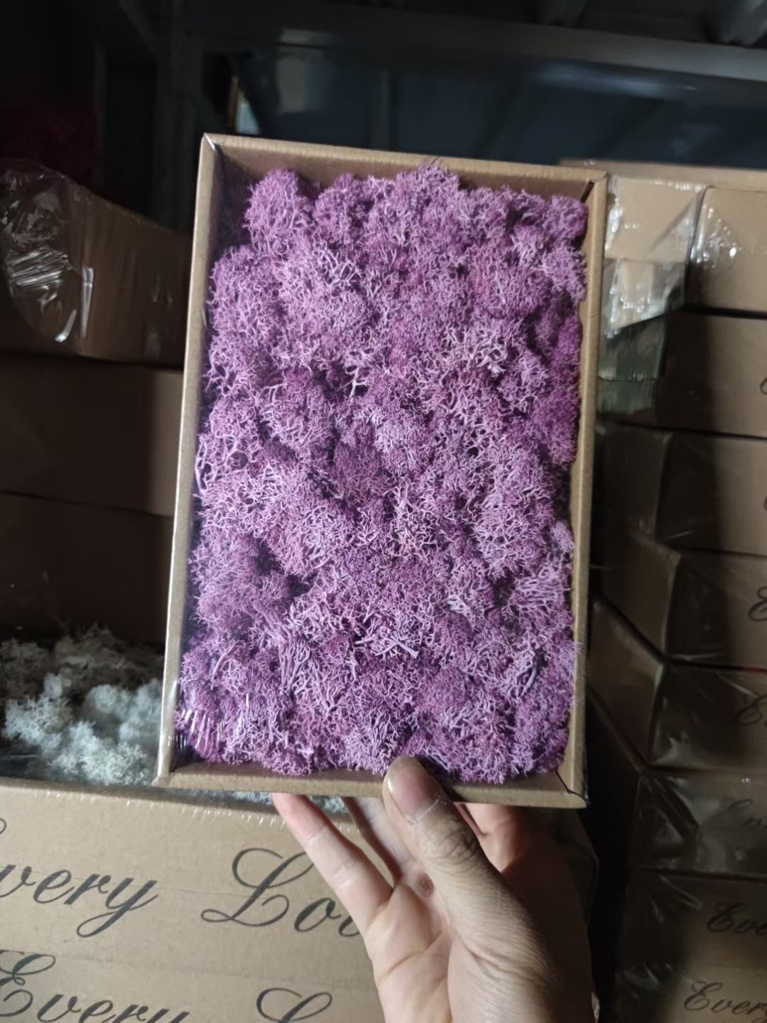 500g/box Green Natural Wall Real Preserved Mos Moss Decorative Flowers for Sale