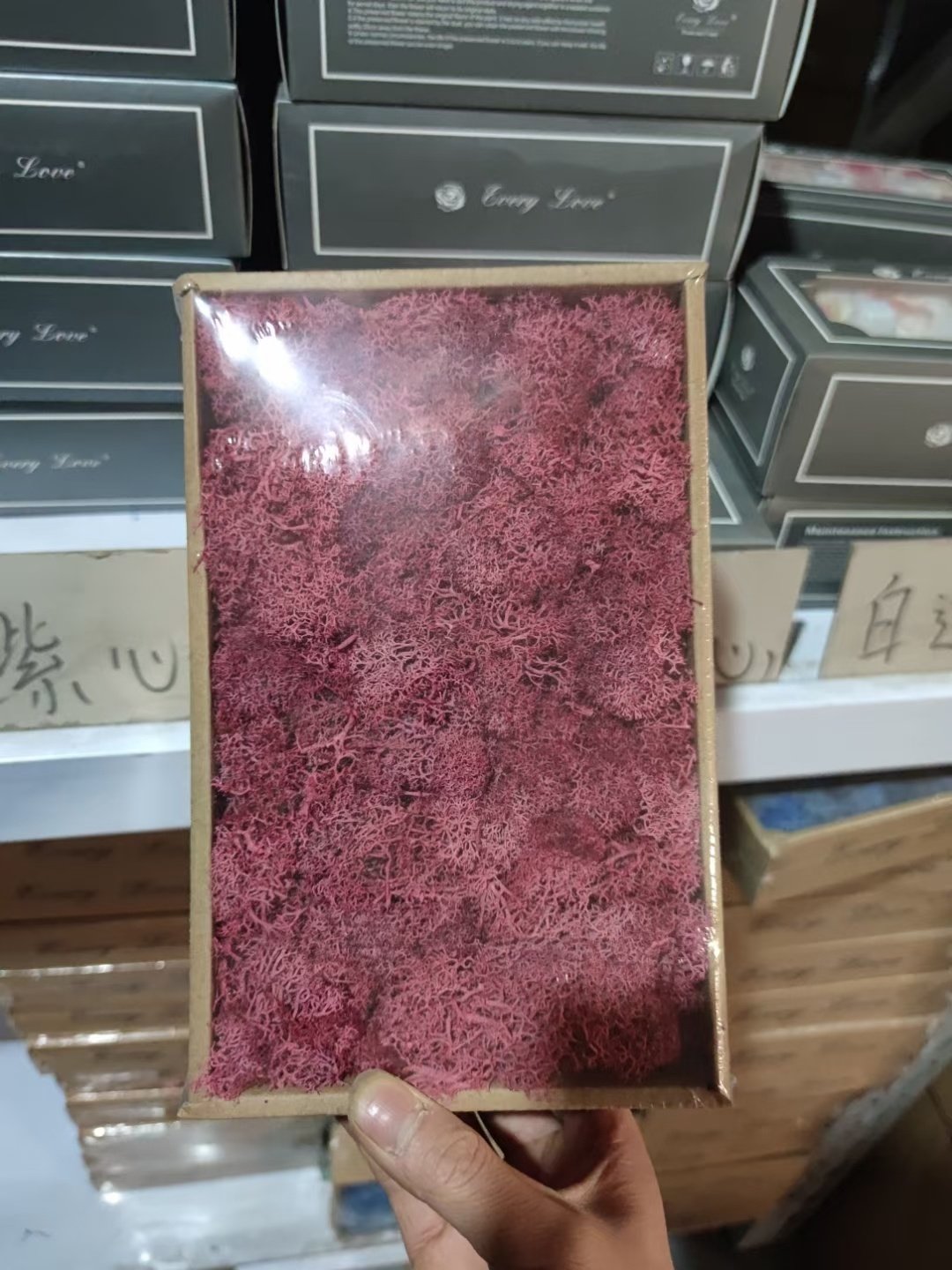500g/box Green Natural Wall Real Preserved Mos Moss Decorative Flowers for Sale