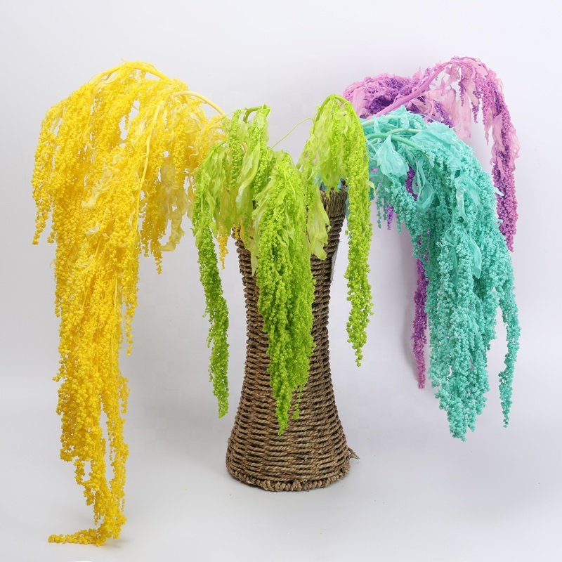 Wholesale high quality natural dried amaranth preserved flowers and plants hanging amaranthus for wedding decoration