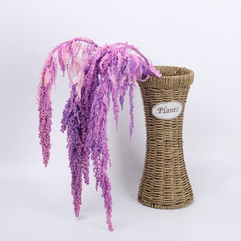 Wholesale high quality natural dried amaranth preserved flowers and plants hanging amaranthus for wedding decoration