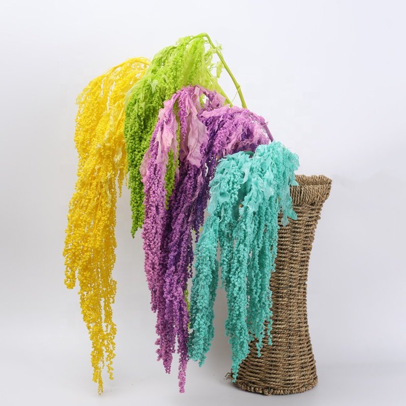 Wholesale high quality natural dried amaranth preserved flowers and plants hanging amaranthus for wedding decoration